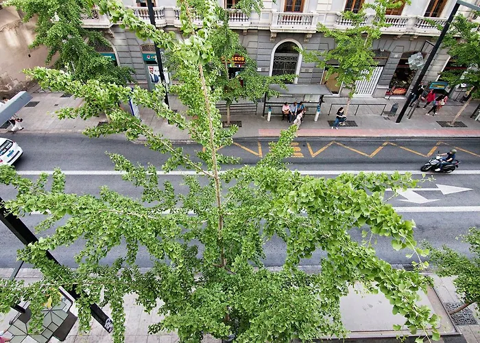 Gran Vía Luxury 3BR